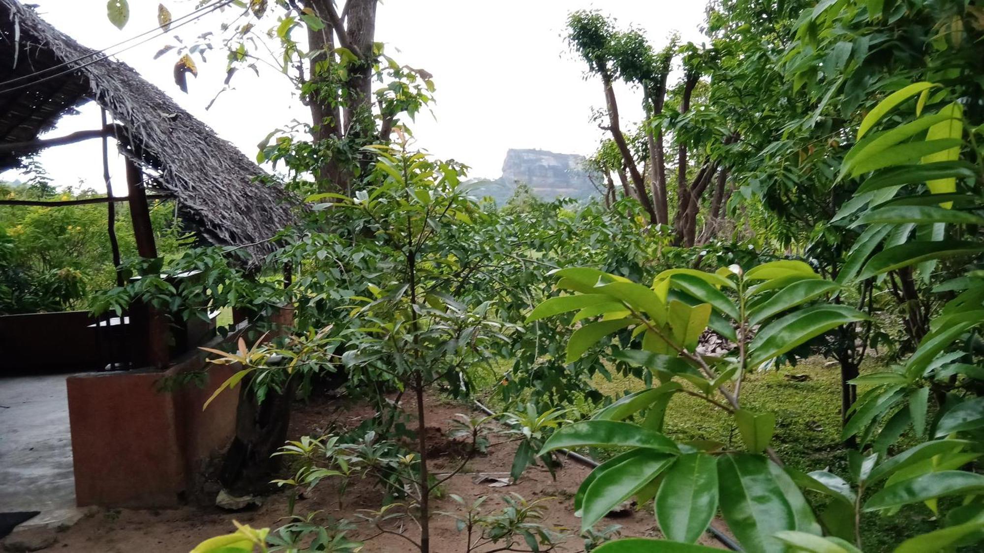 Sigiriya Rock Gate Resort Buitenkant foto