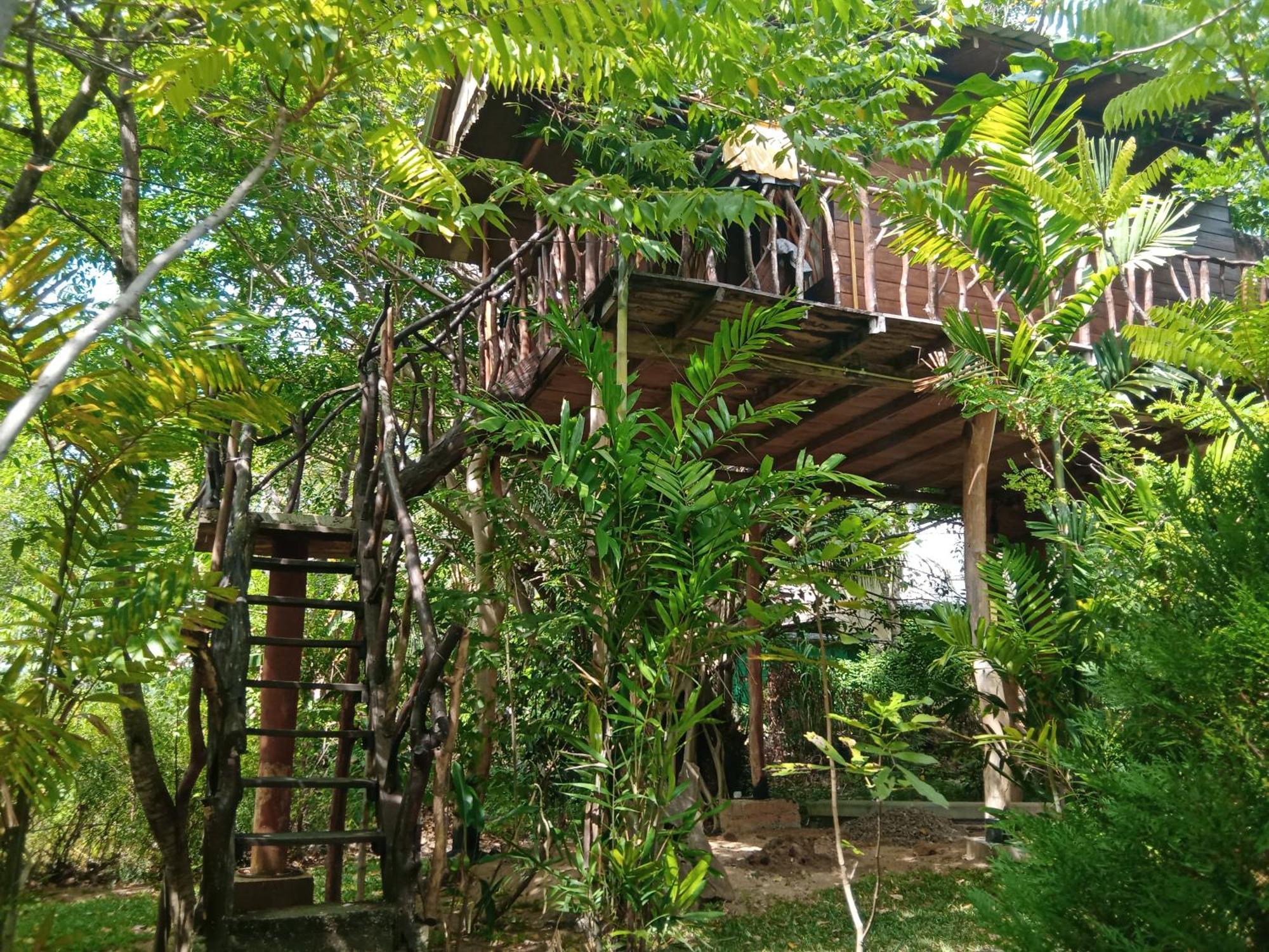 Sigiriya Rock Gate Resort Buitenkant foto