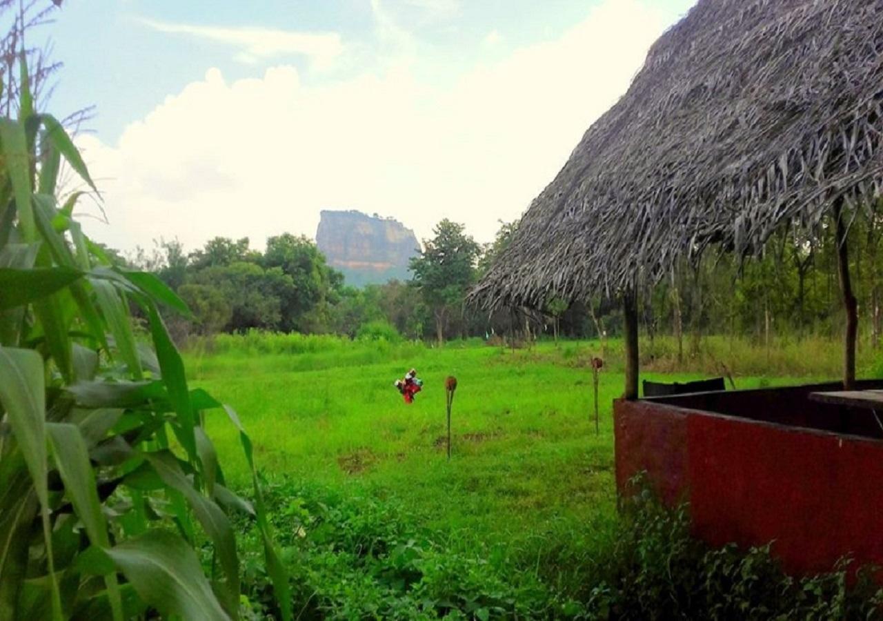 Sigiriya Rock Gate Resort Buitenkant foto