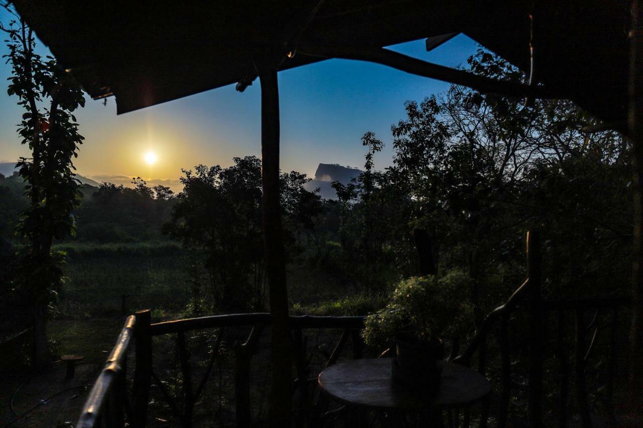 Sigiriya Rock Gate Resort Buitenkant foto